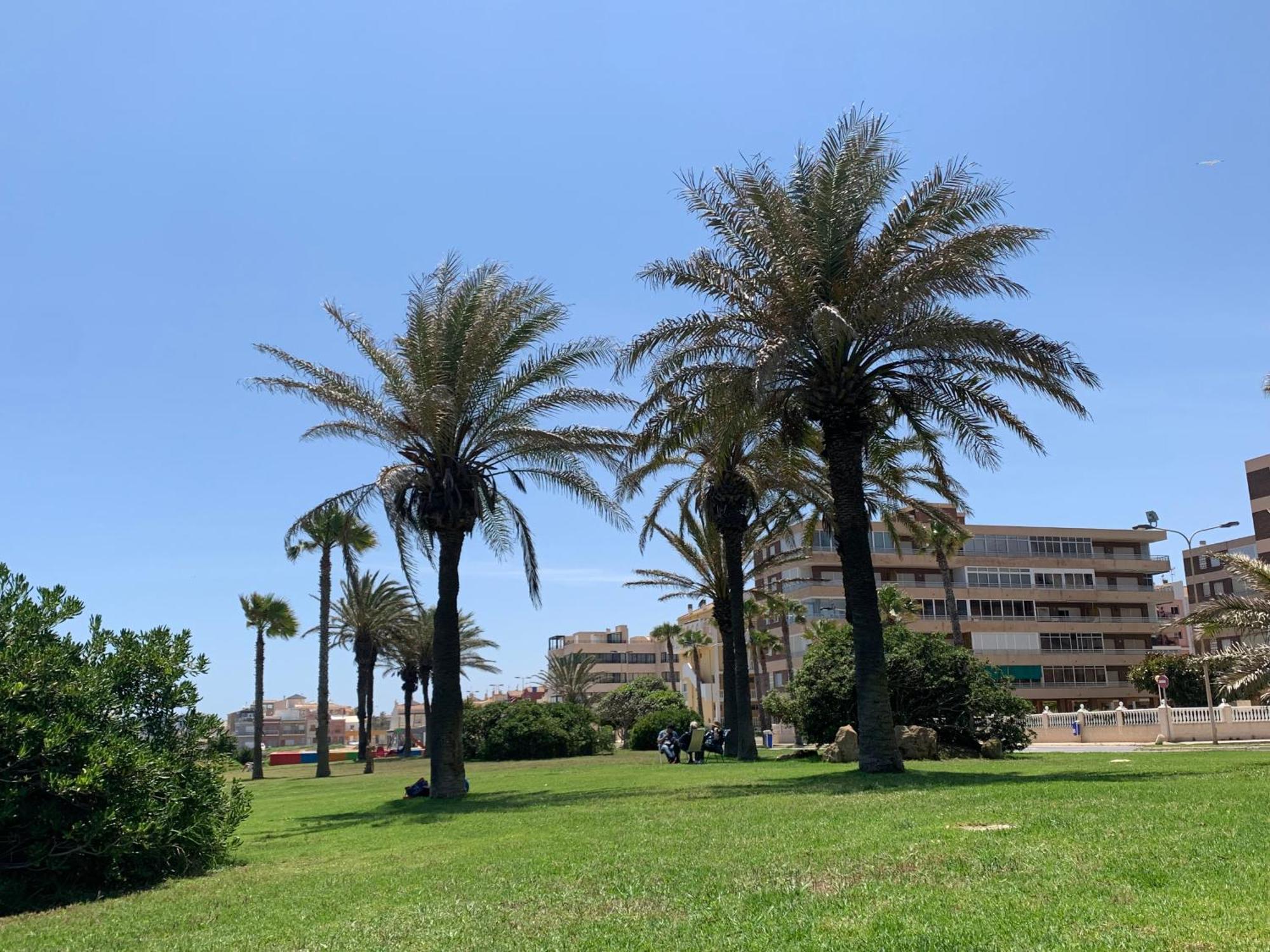 Apartment With Side Seaview 60 Meters From Sea تورّيفيِخا المظهر الخارجي الصورة